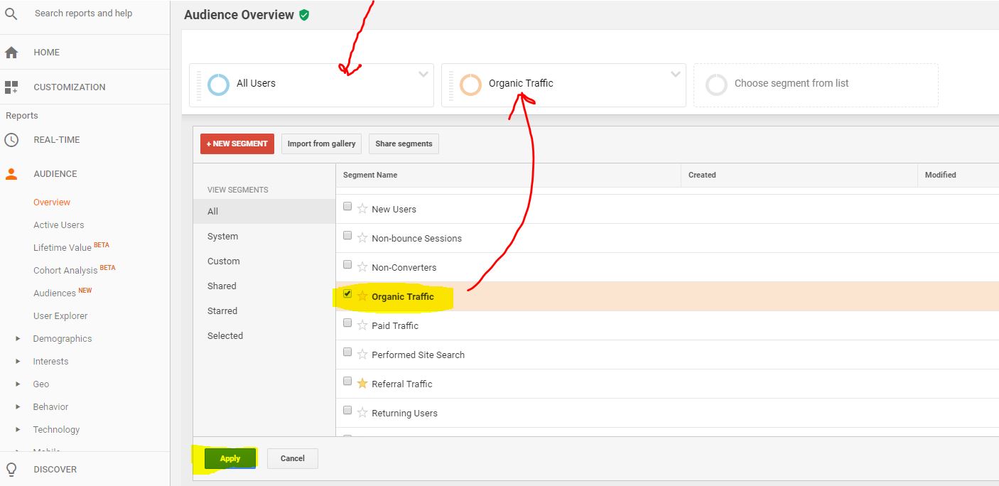 lalu-lintas-organik-google-analytics